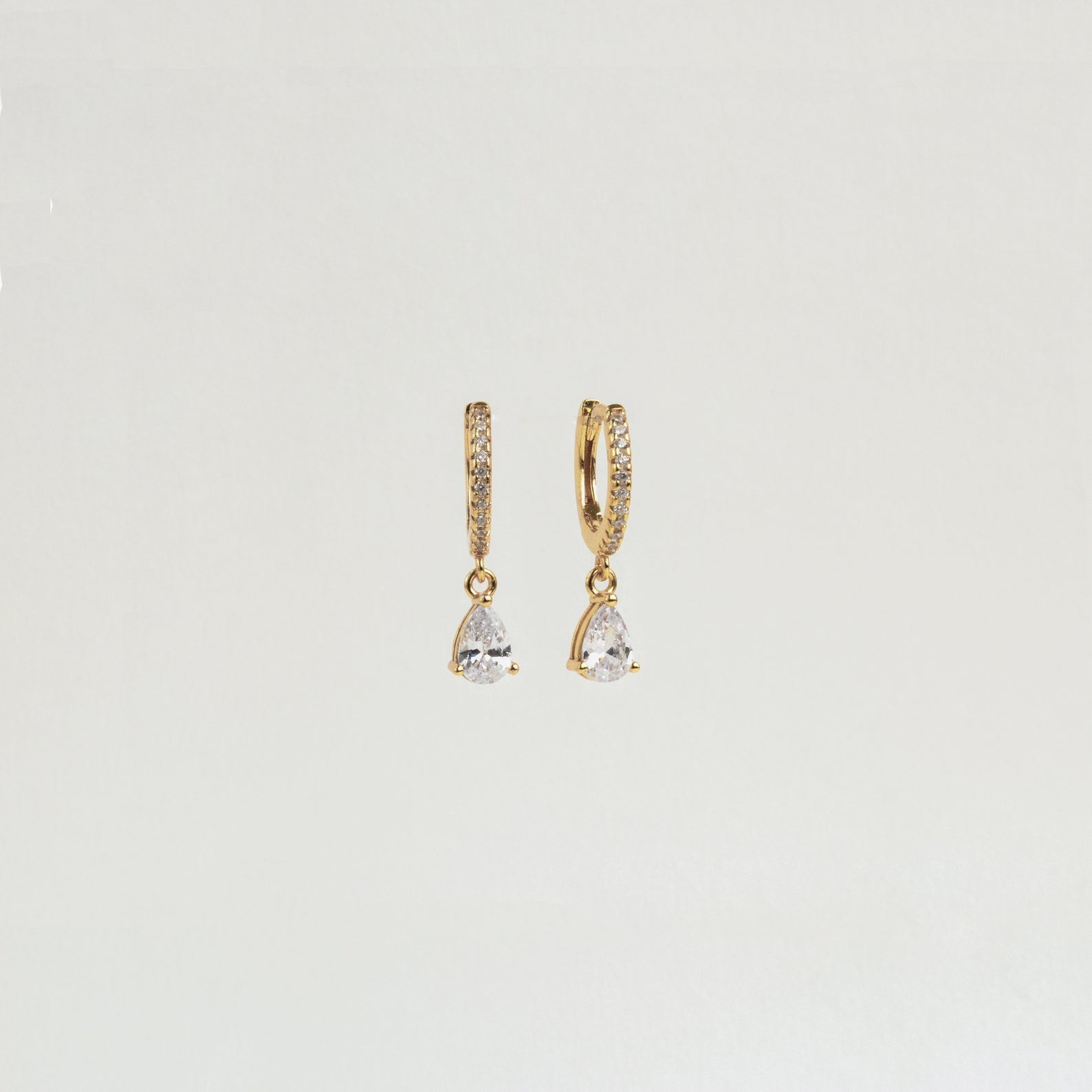 Stunning hoop earrings studded with diamonds.