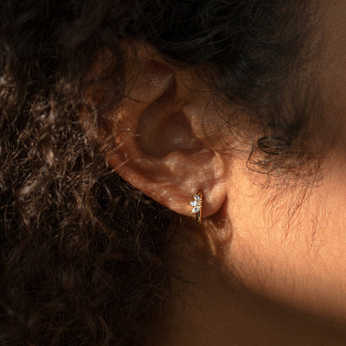 Celine earrings