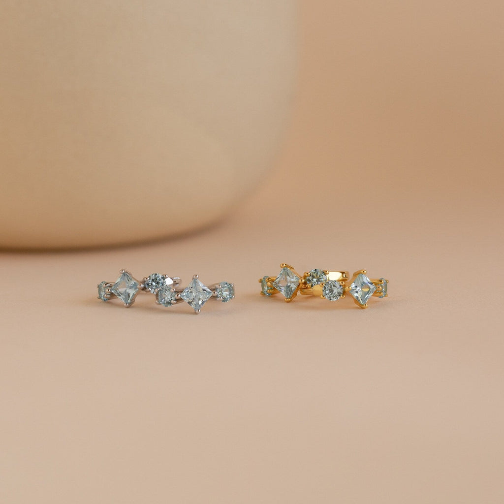 Navy Blue Earrings